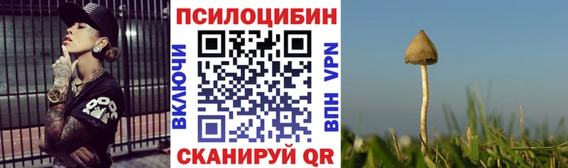 darknet формула где купить наркоту Урюпинск Псилоцибиновые грибы Cubensis