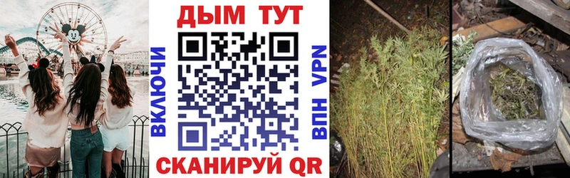 блэк спрут зеркало  Урюпинск  Шишки марихуана марихуана 